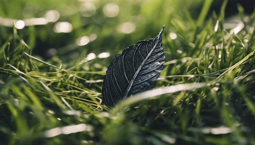 A delicate, frail, and finely veined ebony leaf, resting alone on a patch of fresh spring grass. Tapet [4a22aef317ea48e78598]