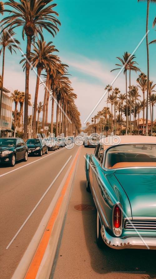 Estrada ensolarada de palmeiras com carro antigo legal