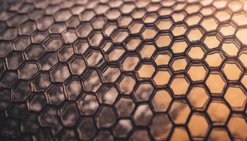 A dark honeycomb pattern seen through a foggy morning sunrise.