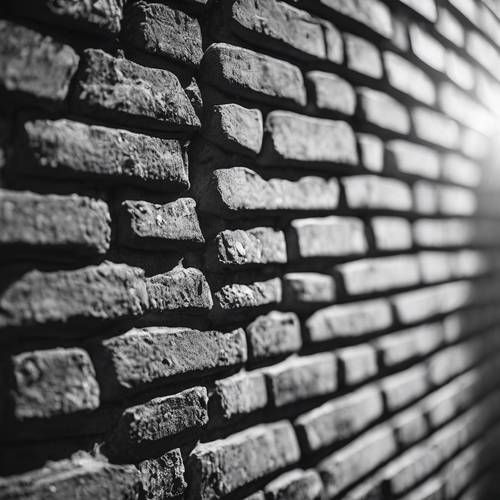 Una pared de ladrillos en blanco y negro iluminada por los rayos melódicos del sol poniente.