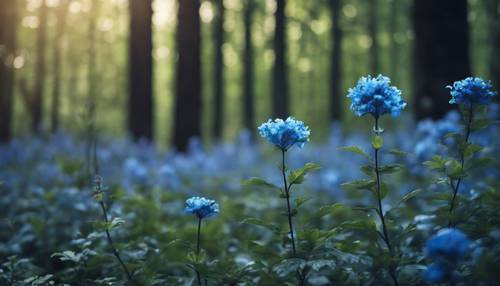 Black and blue flowers blossoming in a mystical forest clearing.