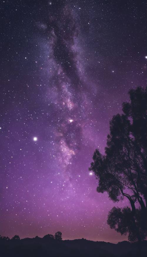 맑고 보랏빛 밤에 별이 가득한 하늘.