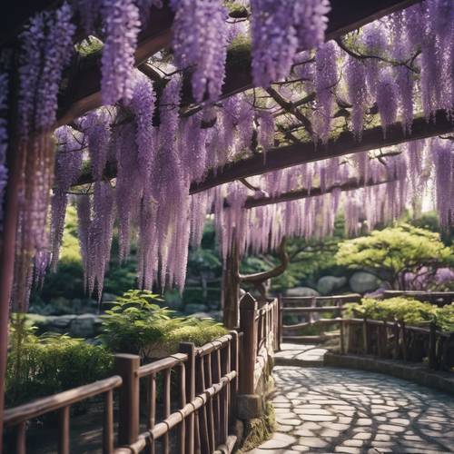 Un exuberante enrejado de glicinas de color púrpura que florece en un jardín tradicional japonés.