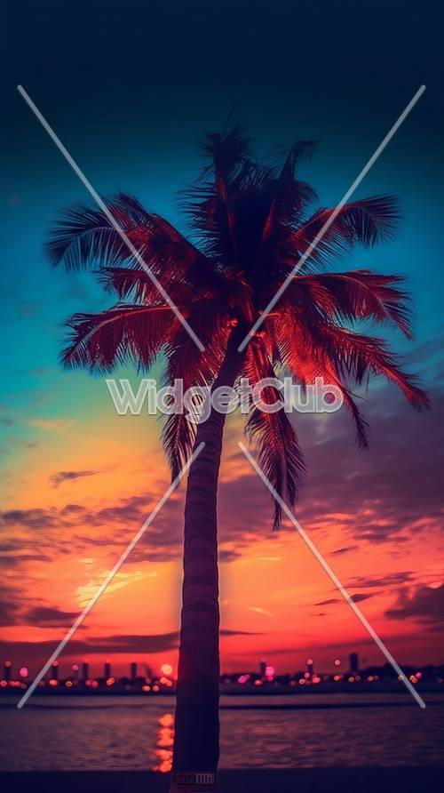 Palmiye Ağacı ile Tropikal Gün Batımı