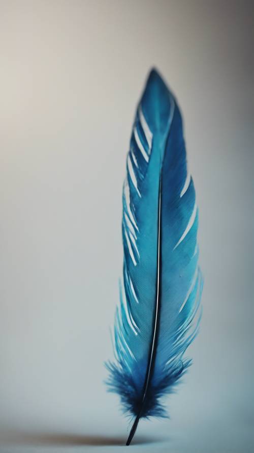 特写一根蓝色渐变羽毛，其色调从羽毛尖的天蓝色变为边缘的绿松石色。
