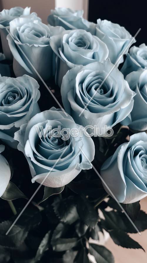 Elegantes rosas azules perfectas para tu pantalla