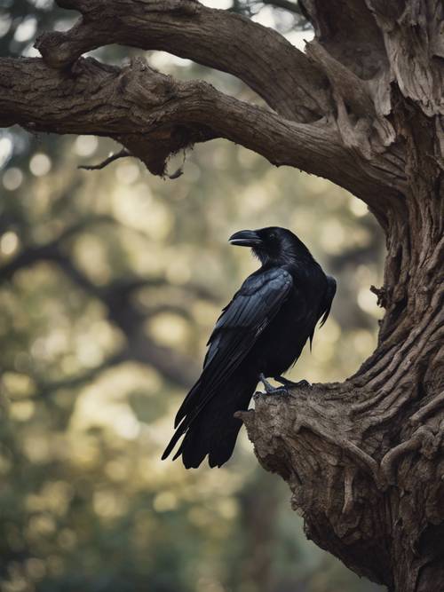 Um corvo negro e farfalhante decolando de uma árvore antiga.