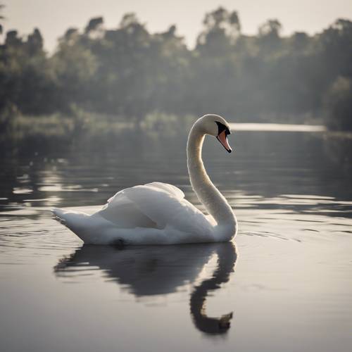 A solitary swan gliding gracefully over the still waters of a serene black lagoon.