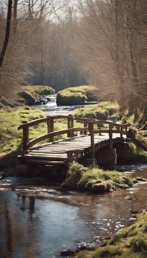 Eine alte, rustikale Holzbrücke, die sich im frühen Frühling über einen sprudelnden Bach wölbt.