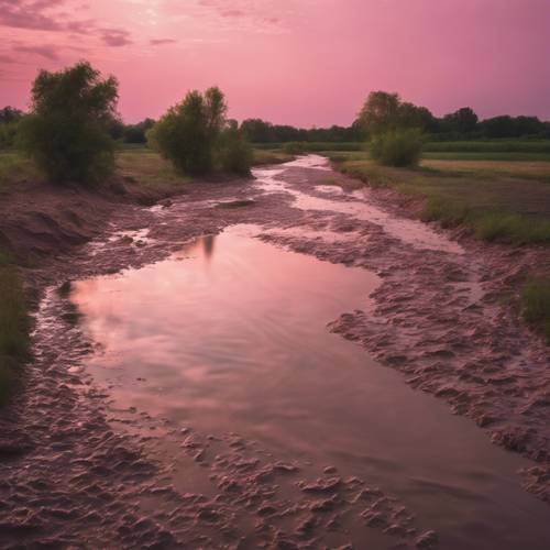 진흙 투성이의 갈색 강 위에 고요한 분홍색 일몰이 있습니다.