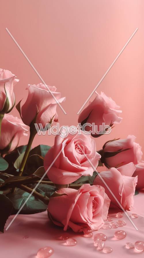 ดอกกุหลาบสีชมพูสวยงามบนพื้นหลังที่นุ่มนวล