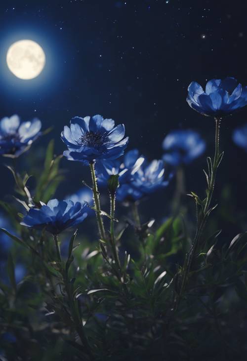 Lindas flores azuis escuras sob uma lua brilhante em uma noite tranquila.