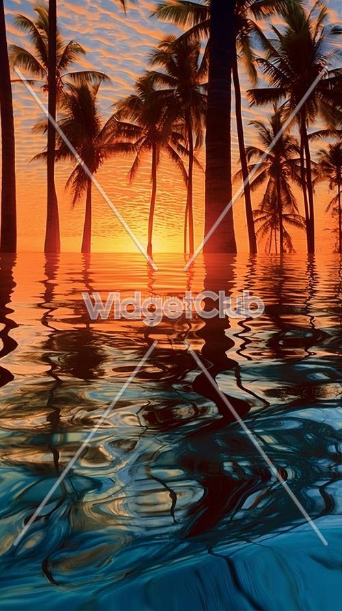 Reflexo das palmeiras do pôr do sol