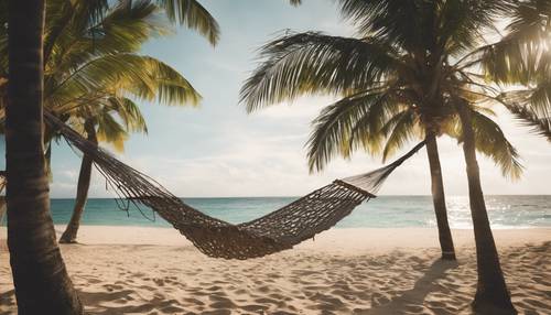 Tempat tidur gantung digantung di antara dua pohon palem di pantai tropis yang tenang dan diterangi matahari.