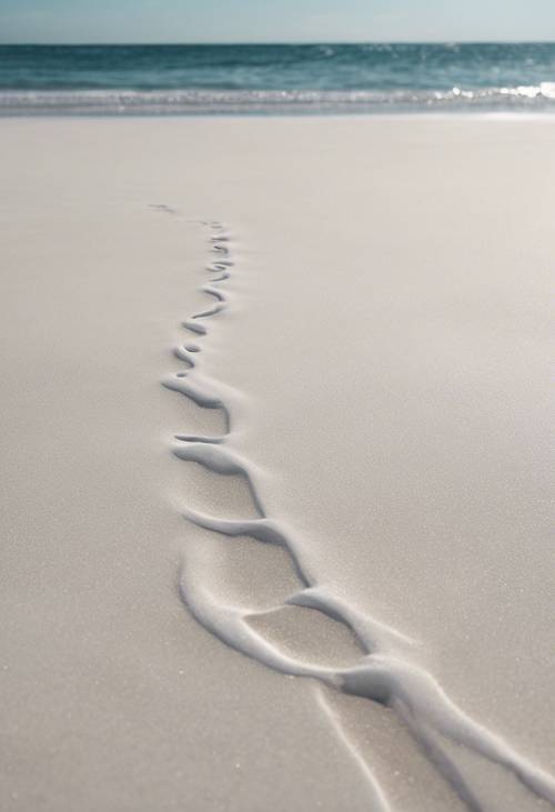 Una playa vacía de arena blanca con suaves olas rompiendo en la orilla.