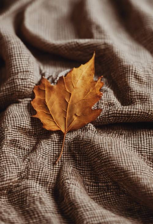 特写：一片秋叶停在棕色格子布上。