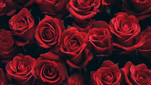Artystyczna wizja serca wykonanego z promienistych czerwonych róż na czarnym tle.