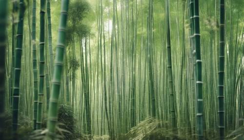Kyoto&#39;nun sakin bambu ormanını taklit eden bir Japon tekstil tasarımı.