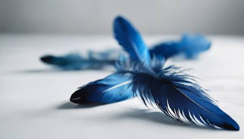 ขนนกและผ้าไหมสีน้ำเงินกระจัดกระจายอยู่บนโต๊ะสีขาวสะอาด