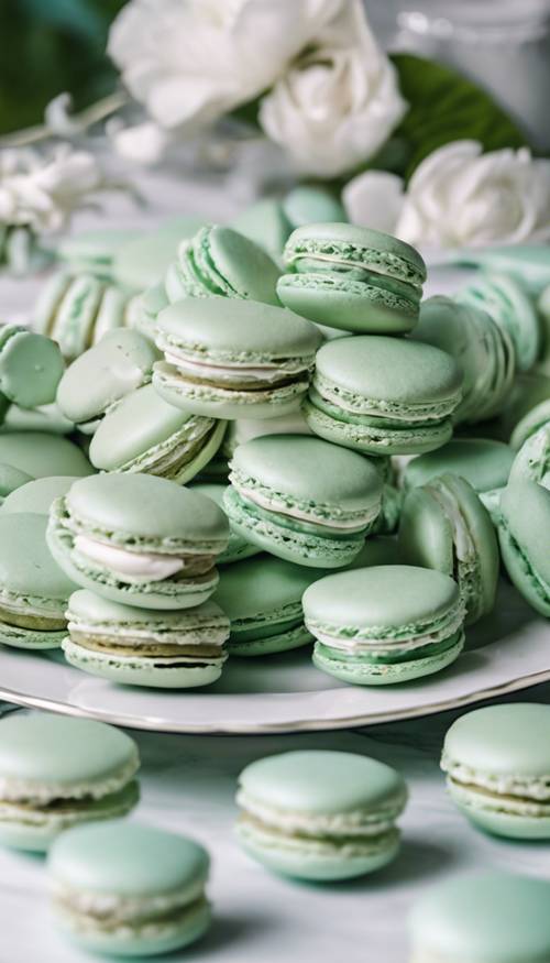 Mint green macarons arranged artfully atop a white porcelain plate.