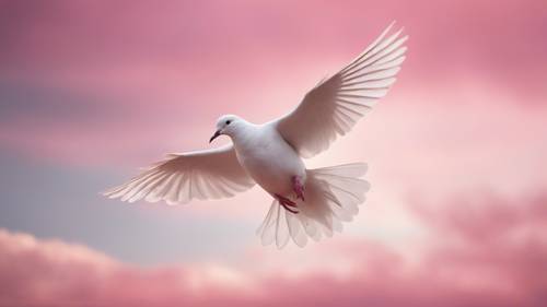 夕暮れのピンク空に飛び立つ一羽の白い鳩の壁紙