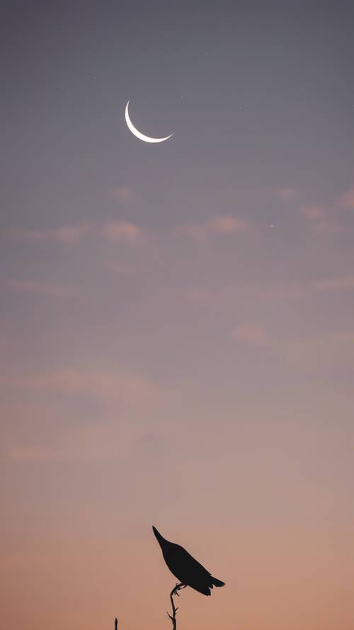 Eine abnehmende Mondsichel am Morgenhimmel, Vögel wachen auf und beginnen abzuheben.