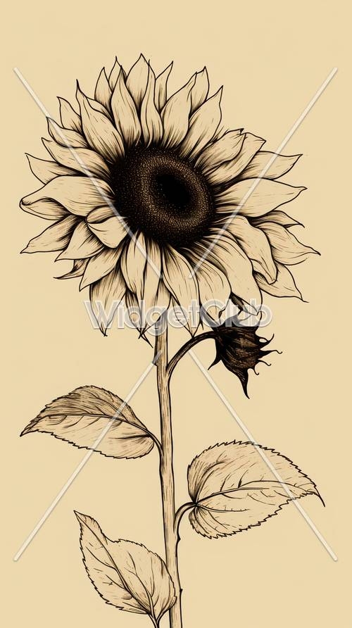 Sunflower Wallpaper[eea6b04191804553b90f]