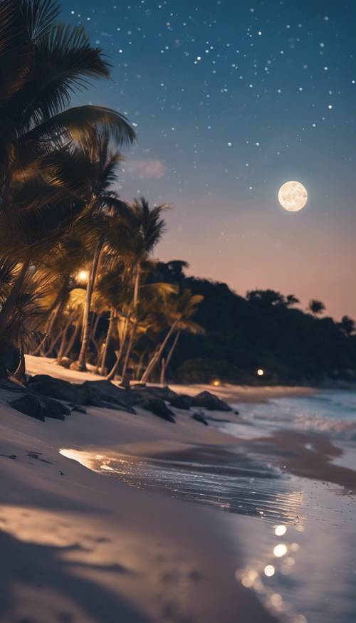 Một bãi biển hoang sơ được chiếu sáng bởi một đêm trăng xanh.