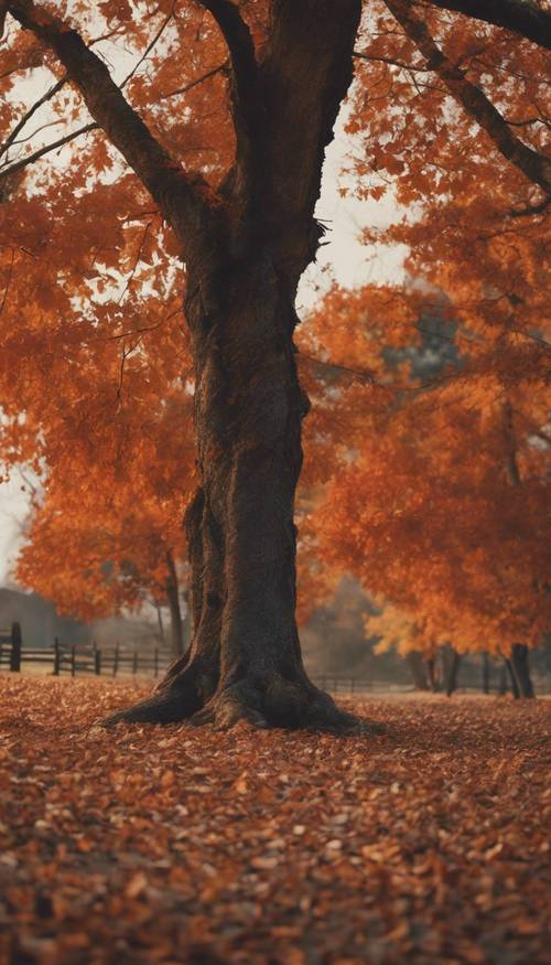 مشهد مزرعة عتيق خلال فصل الخريف، حيث تتساقط أوراق الشجر الحمراء والبرتقالية الدافئة من الأشجار القديمة.