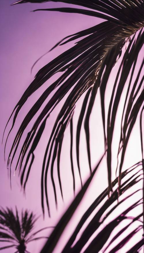 Una toma cercana de las hojas de una palmera iluminadas por el sol, tiñéndolas de un tono púrpura antinatural.