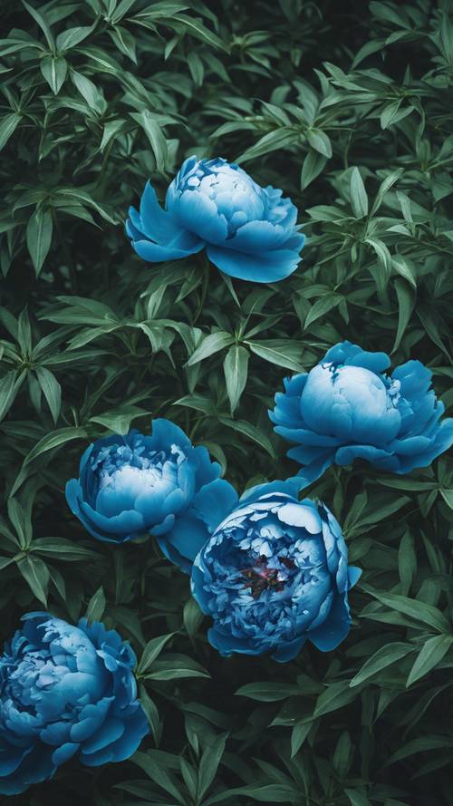 Blue and Green Floral Wallpaper [3c58dcb2c3304ee39ce6]
