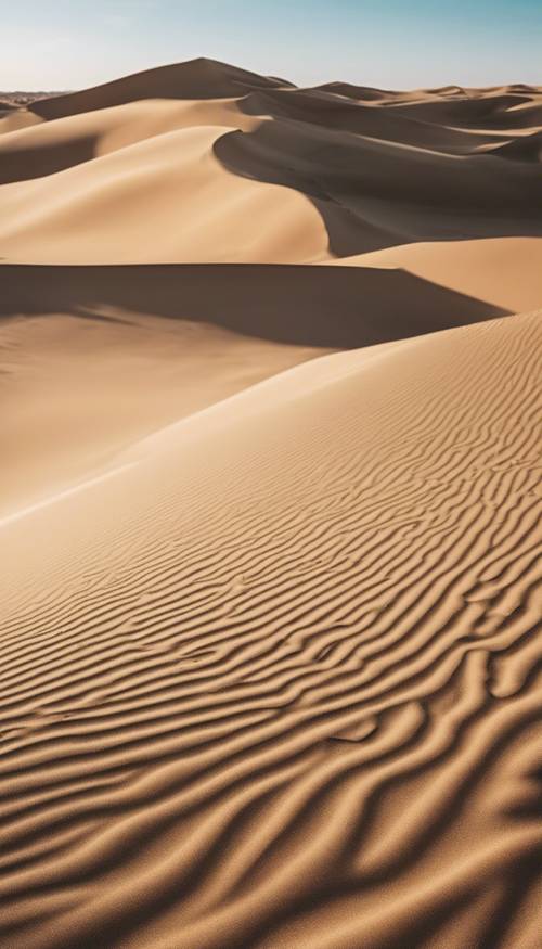 An expansive sandy desert landscape under a clear blue sky with dark beige sand dunes.
