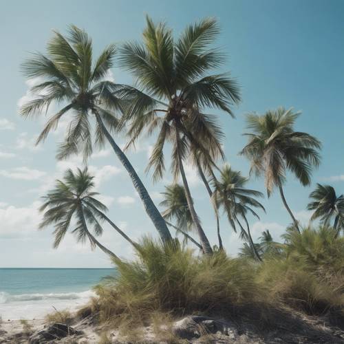 Необитаемый остров с пальмами, покачивающимися на ветру, на фоне голубого неба.