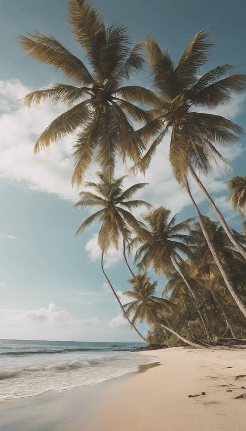Varios cocoteros altos en una playa tropical con olas suaves al fondo.