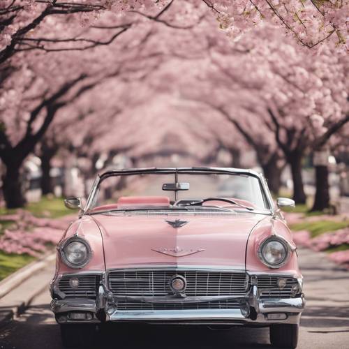A vintage blush pink convertible parked by a cherry blossom-lined road.