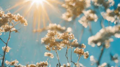 A bright blue sky lit up by a dazzling sun on a hot July day.