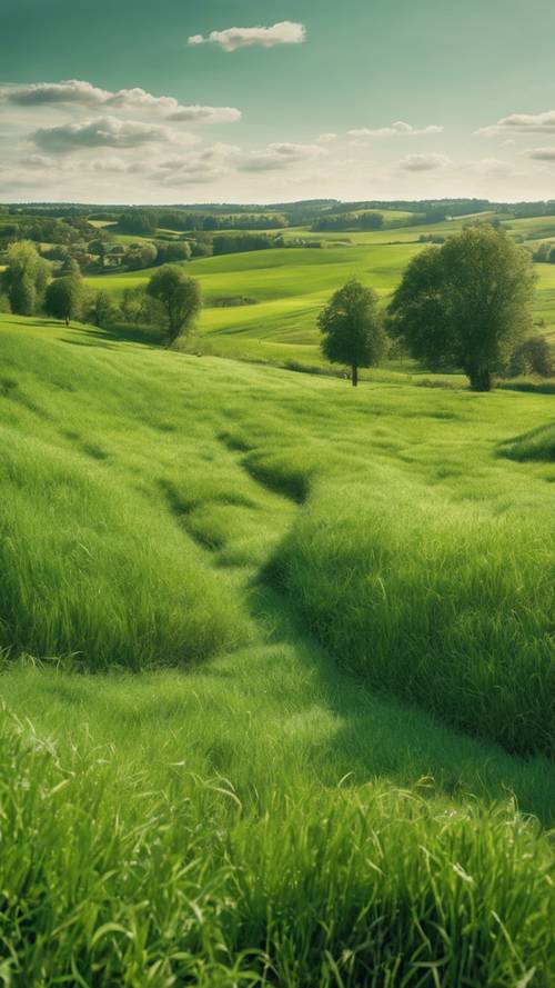 Çeşitli dokular gösteren, taze yeşil çimlerin bulunduğu pitoresk bir kırsal alan.
