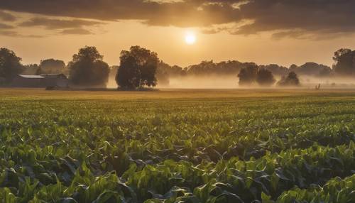 Der Sonnenaufgang malt den Himmel über einem Bauernfeld, der Tau des frühen Morgens küsst die Ernte.