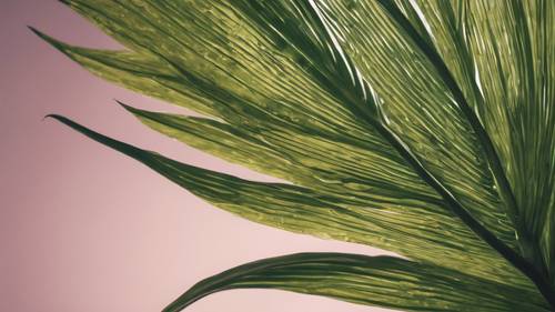 Um close detalhado de uma folha de palmeira.