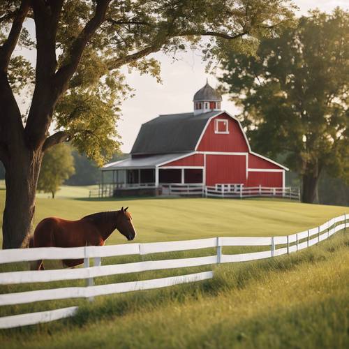 A Kentucky bluegrass horse farm with a white picket fence and a classic red barn.
