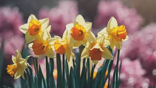 Bright, multicolored impressionist daffodils in a modern style.