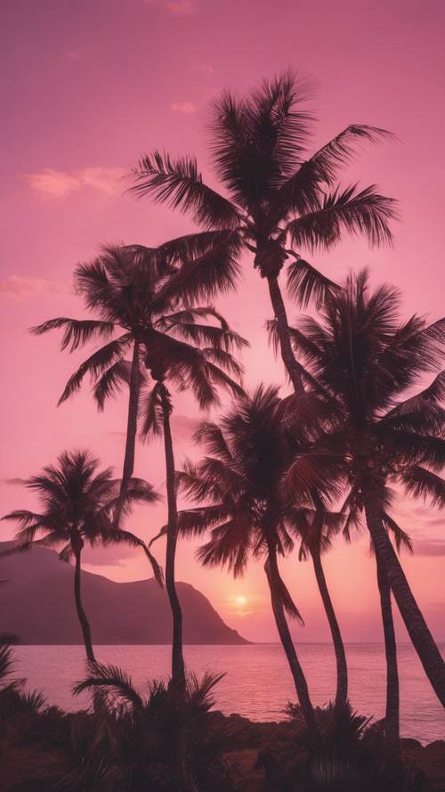 美丽的日落期间，异国岛屿上出现了一群粉红色的棕榈树。