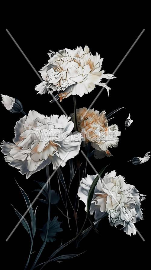 Elegant White and Peach Flowers on Black Background