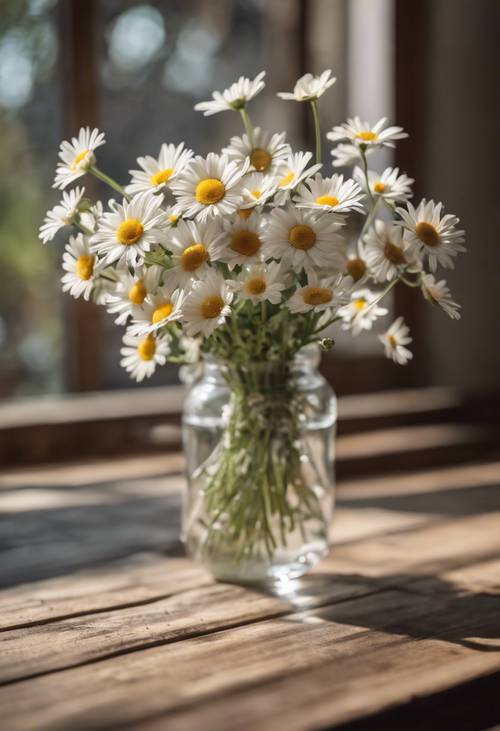 Buket bunga aster diletakkan di atas meja kayu di ruangan yang terang benderang.