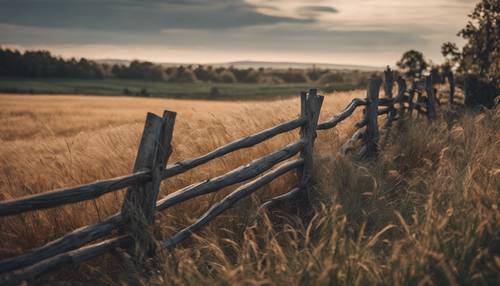 An old wooden fence winds its way through the field of black grass. Tapeta [732aaeb45c334dc180e5]