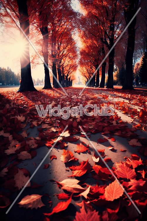 Folhas de outono em um fundo de caminho iluminado pelo sol