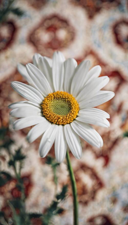 A closeup view of a single daisy, its white petals contrasting beautifully with a bohemian tapestry background.