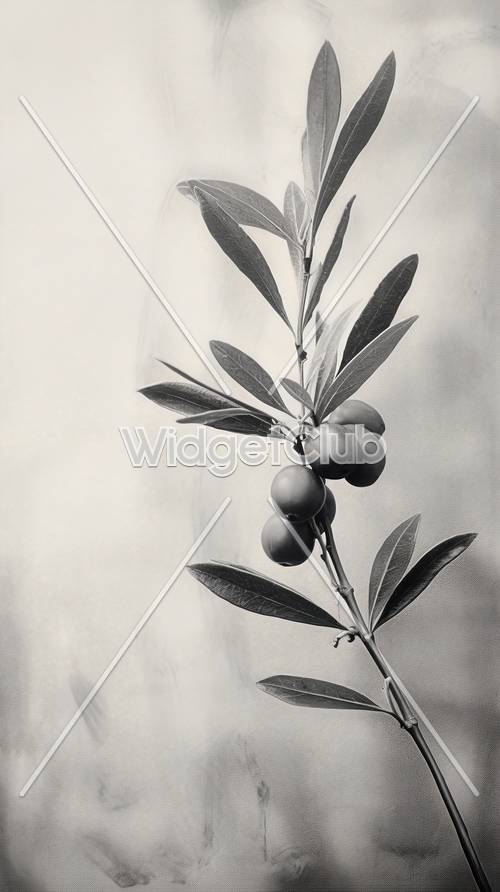 Monochrome Elegance: Olive Branch Art Tapeta [9280fb32f5ab405abbf9]