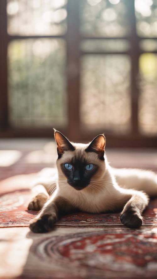 A Siamese cat elegantly stretched out on an old oriental rug under delicate shafts of sunlight.