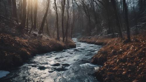 Um riacho caudaloso cortando uma floresta escura e silenciosa no auge do inverno.